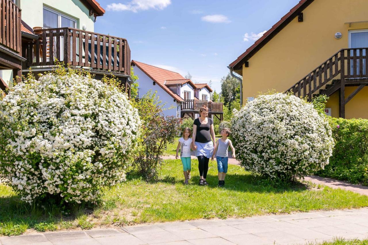 Mueritzparadies - Feriendorf Alte Fahrt Rechlin Eksteriør bilde